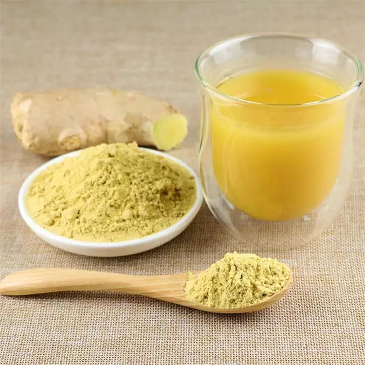 Factory Wholesale Herbal Root Extract Ginger Extract with 100% Natural