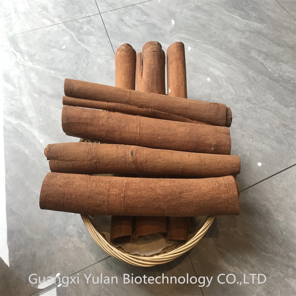 Plants Wholesale Cinnamon Cassia Bark Cinnamon Fragrance Cassia Tube